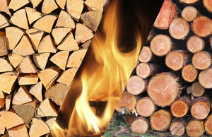 Pourquoi choisir un bon bois bûche pour le chauffage ?